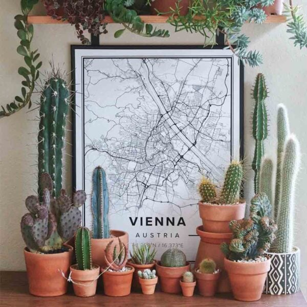 street map poster of Vienna, Austria