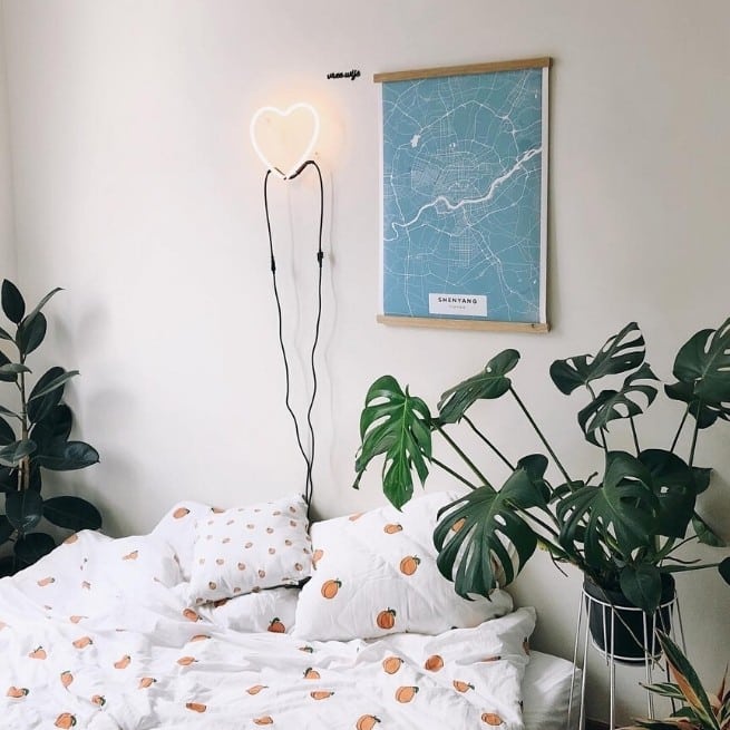Bedroom monstera with other indoor plants that are hard to kill