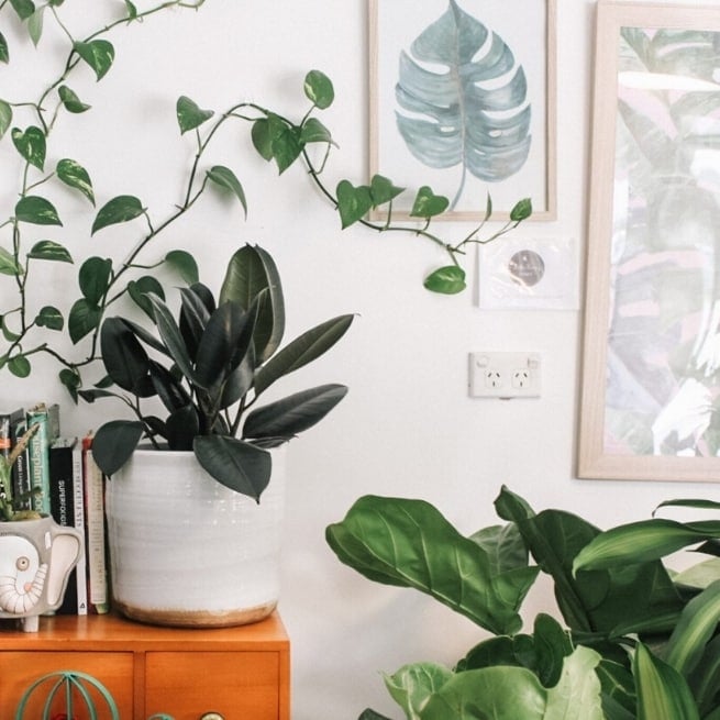 spring gallery wall with botanical frames, leaves and plants