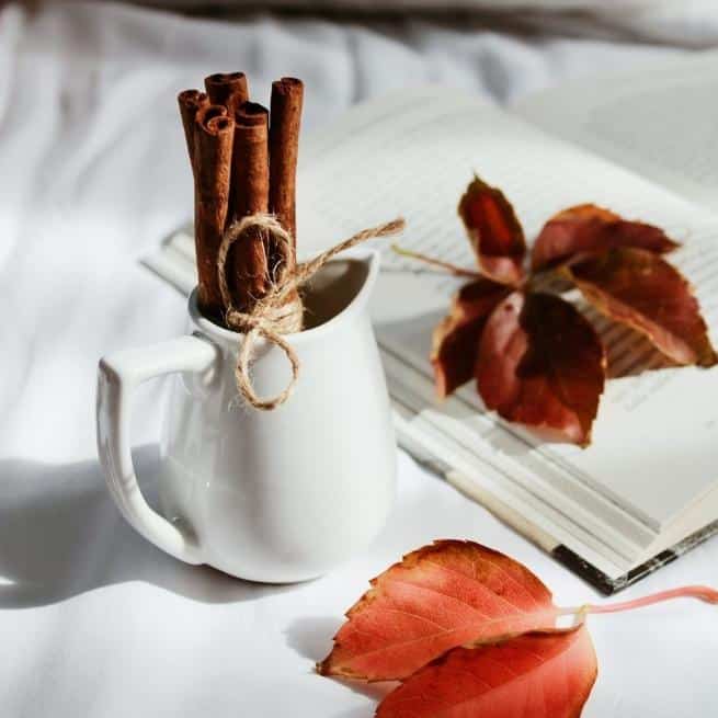 Cinnamon sticks in a jug next to fall leaves