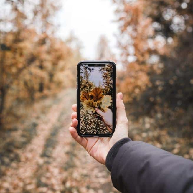 Fall photo inspo taking a picture on a phone