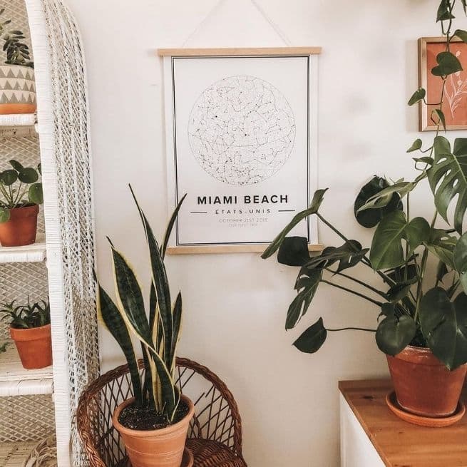 Introduce Peace into Your Interior Style plants 