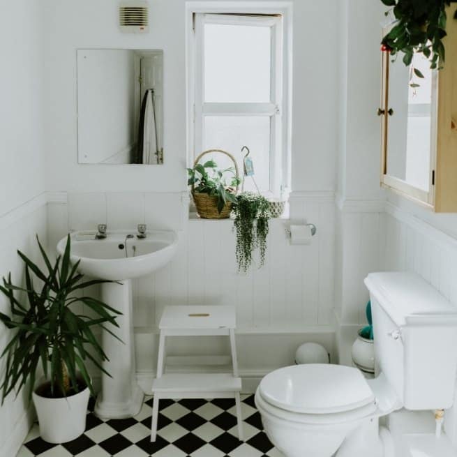 Small bathroom with plants and bright lighting