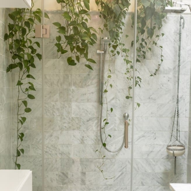 Beautiful glass shower with plants 