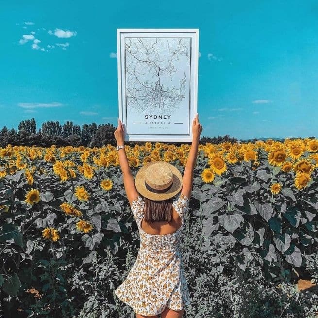 Declutter Your Mind Outdoors Sunflower Mapiful Poster 