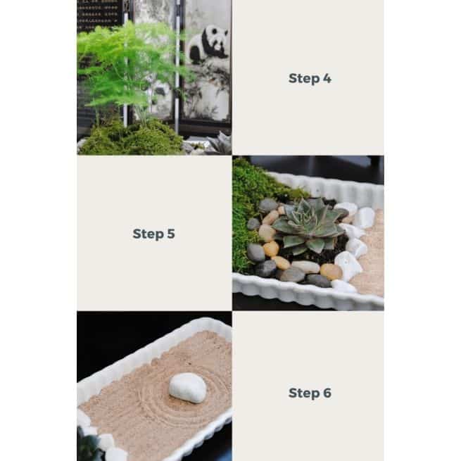 How to Build Your Own Mini Zen Garden step 4 step 5 step 6