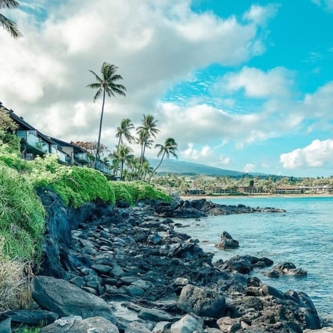 Hawaii Staycation beach palm trees