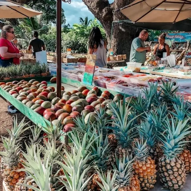 Hawaii Staycation pineapple 