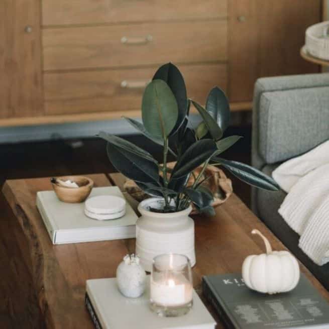 How to Style an Instagram-worthy Coffee Table plant candle 
