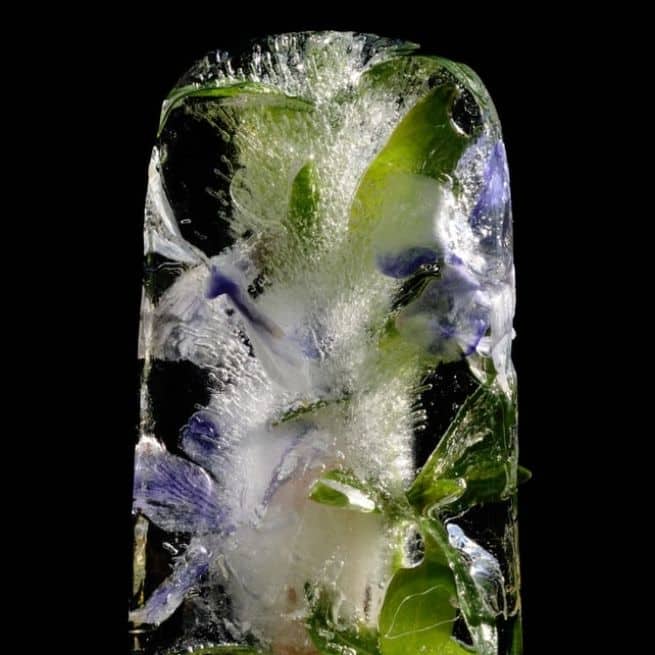Mother's Day Décor ice cube flowers