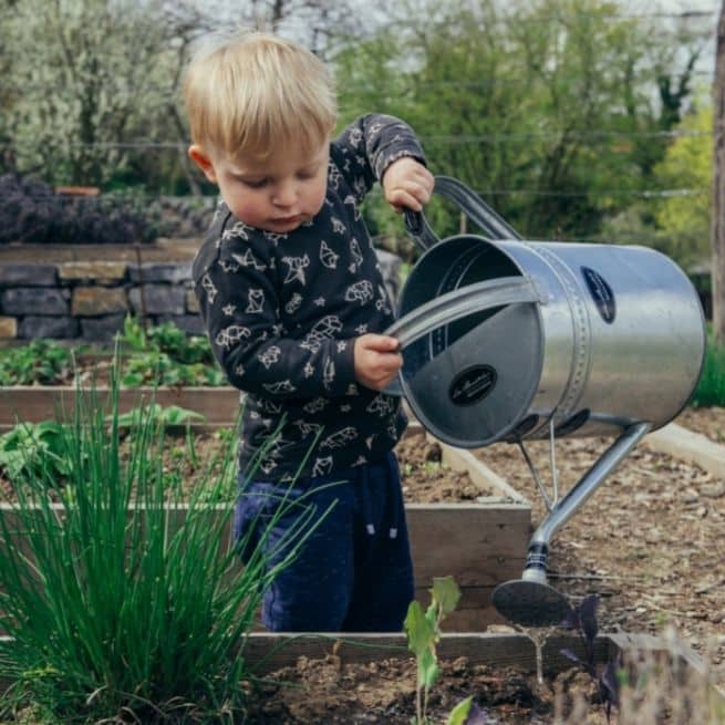 little boy in garden with a watering can