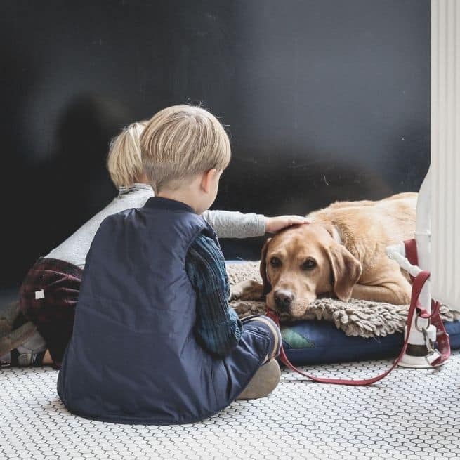 two boys with a dog