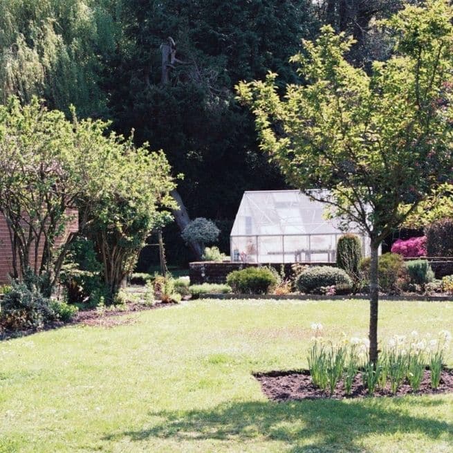 garden with green grass, flowers, trees and a greenhouse