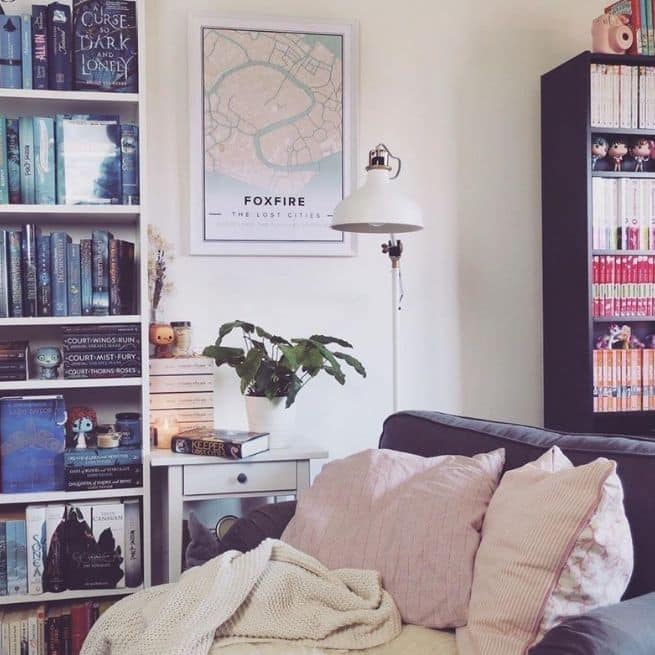 book shelfs and sofa with cushions